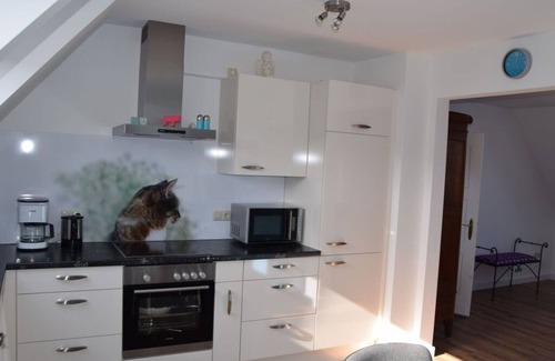 Wolfert House | To Castel Sant'Angelo Modern retreat