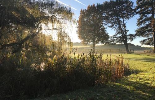 King's Lynn Other | Toad Hall