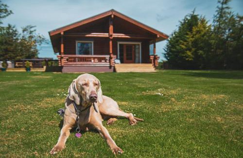 Berwick-upon-Tweed Ski Chalet | Tomatin - Luxury Two Bedroom Log Cabin with Hot Tub