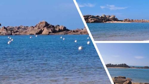 Tregastel Apartment | Trégastel Appartement 50 m de la plage