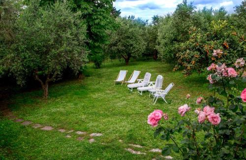Numana Apartment | Tra Gli Olivi E La Riviera Del Conero