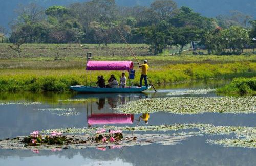 Xochimilco Boat Rental | TrajinerasNativitasAdventureTours