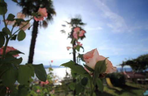 Volosko Apartment | Tramontana Leeward - Cozy and charming apartment in beautiful Volosko