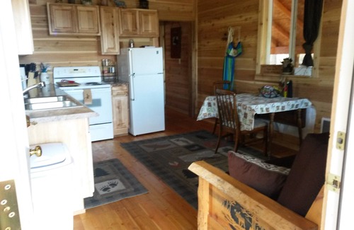 Fruitland Cabin | TRANQUIL AND PRIVATE! Pets are welcome here! Optional full RV space add on