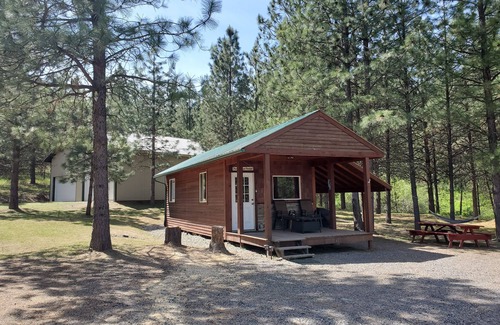 Fruitland Cabin | TRANQUIL AND PRIVATE! Pets are welcome here! Optional full RV space add on