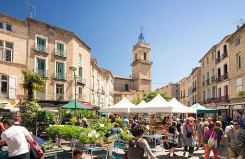 Pezenas Apartment | Tranquil apt with patio, Pézenas historic centre