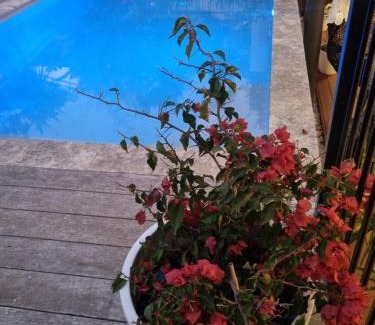 Coolum Beach Apartment | Tranquil Beach Getaway