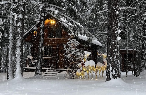 Bonner County Cabin | Trappers Cabin, Tiny home, Romantic get away