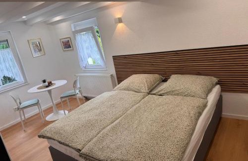 Aldingen Apartment | Traumhaft moderne Einzelzimmer mit Gemeinschaftsbad -WC in 78554 Aldingen