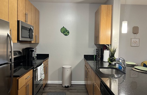 Trinidad Apartment | Traveling Professionals coming to the DMV