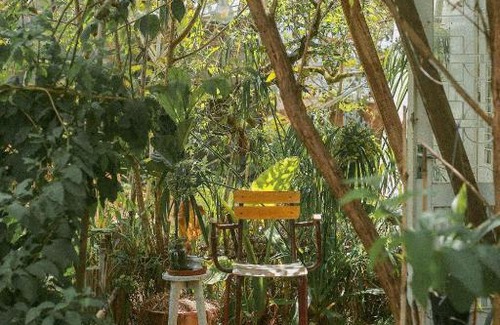 Phuong Hotel | Tre House Dalat