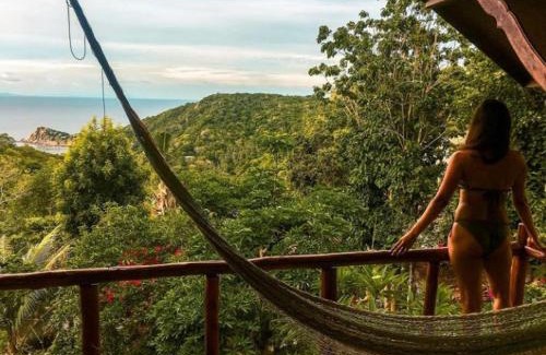 Koh Tao Hotel | Tree House Bungalows Koh Tao