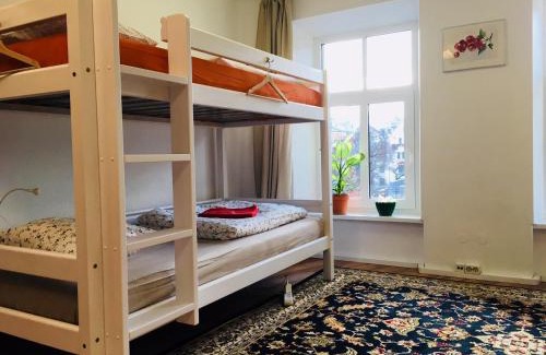 Old Town Hostel | Tree House