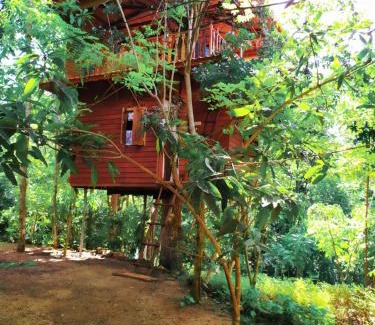 Ahangama Ski Chalet | Tree House-Midigama
