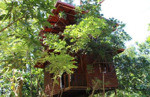 Ahangama Ski Chalet | Tree House-Midigama