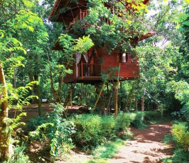 Ahangama Ski Chalet | Tree House-Midigama
