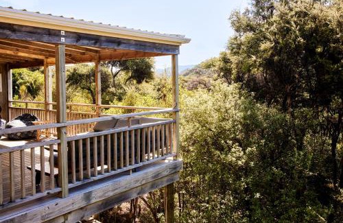 Tryphena House | Tree House