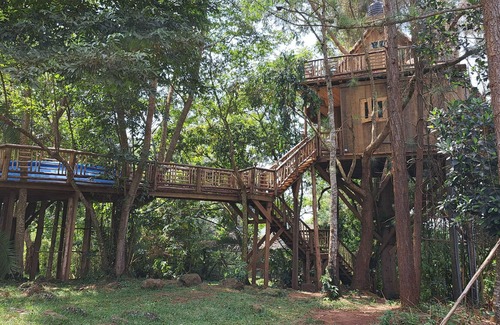 Mukono House | Tree House with a Pool