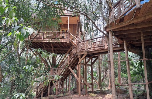 Mukono House | Tree House with a Pool