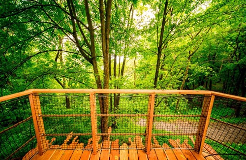 Prosec pod Jestedem Cabin | Treehouse pod Jestedem