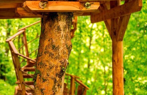 Prosec pod Jestedem Cabin | Treehouse pod Jestedem