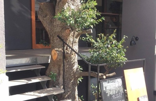 Yugawara Apartment | Treeside Hotel & Apartment