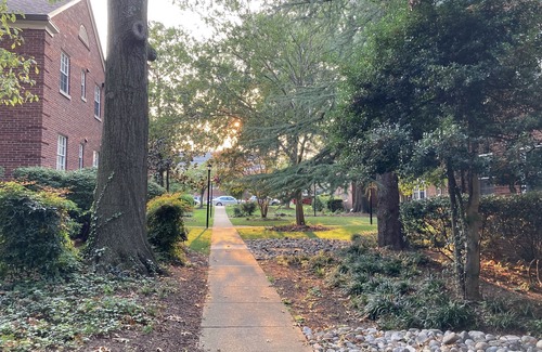 North Highland Apartment | Treetop Rosslyn with loft - Georgetown-walkable