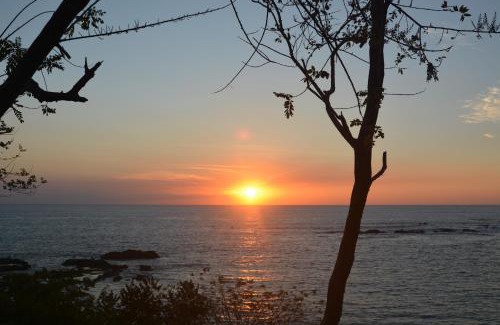 San Juanillo Bed & Breakfast | TreeTops Inn