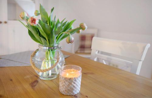 Westerhever Apartment | Treibholz