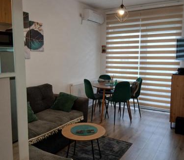 Banja Koviljaca Apartment | Tri srca