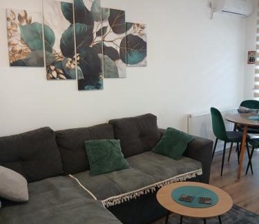 Banja Koviljaca Apartment | Tri srca