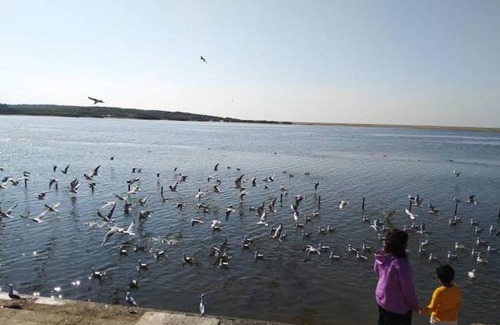 Veraval Hotel | TRIVENI SANGAM ATITHIGRUH