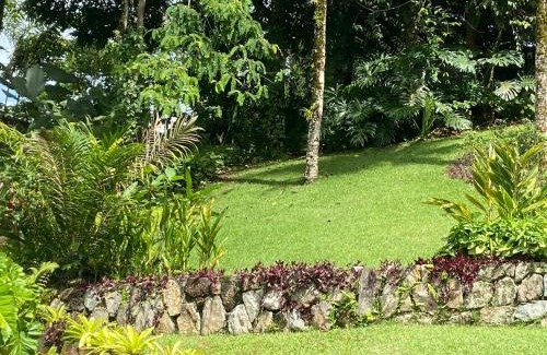 Pontal House | Tropical Contemporary Suites