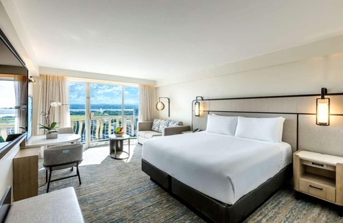 Isla Verde Hotel | Tropical Retreat: Spacious Room with Stunning City View | Pets Are Allowed