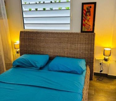 Remire Montjoly House | Tropikana 2-Bedroom Comfort House