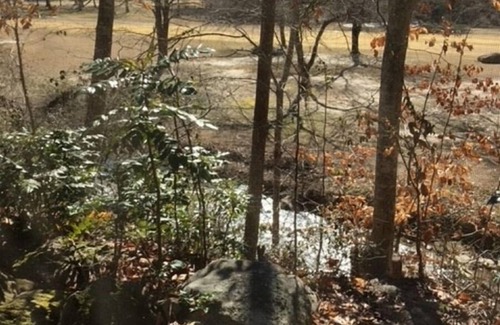 Sweetbriar Farms House | Trout Stream 104-B at Rumbling Bald