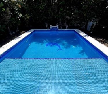 Colonia Adolfo Lopez Mateos House | Troy's House