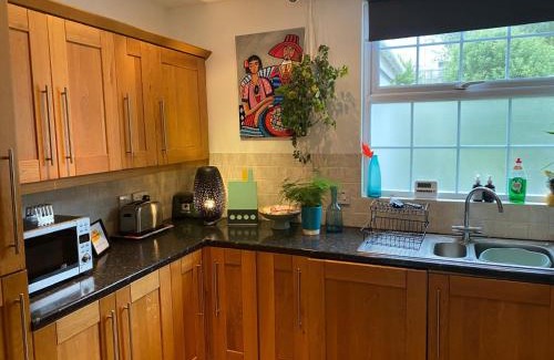 Bangor Apartment | True Colours Apartment in Central Location