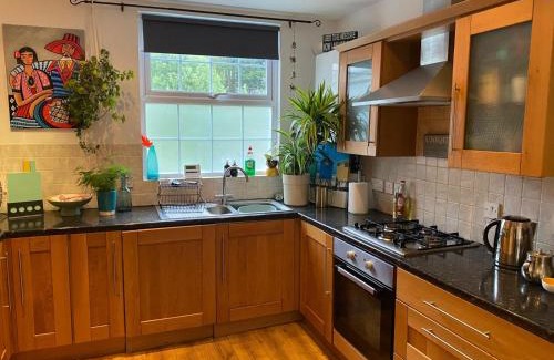 Bangor Apartment | True Colours Apartment in Central Location