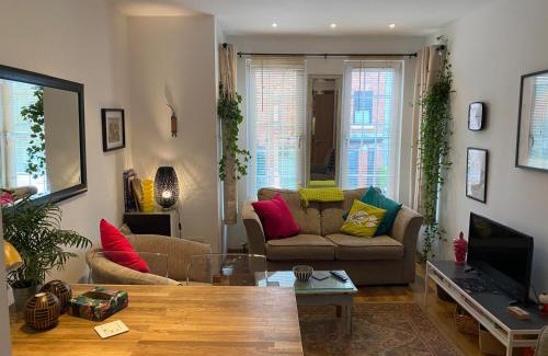 Bangor Apartment | True Colours Apartment in Central Location