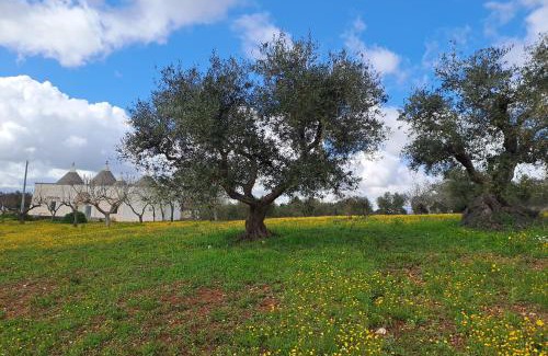 Martina Franca Villa | Trulli Carlo Anna
