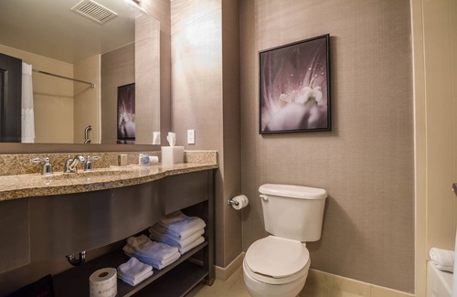 Historic Downtown Savannah Hotel | TRYP by Wyndham Savannah Downtown/Historic District