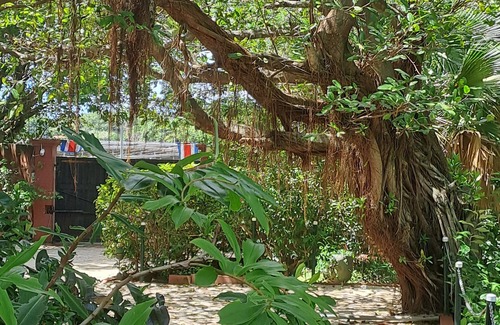 Tamarindo Apartment | Tucan large room for two fully equipped with a private terrace.