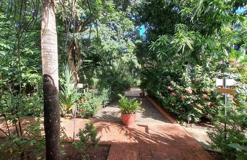 Tamarindo Apartment | Tucan large room for two fully equipped with a private terrace.