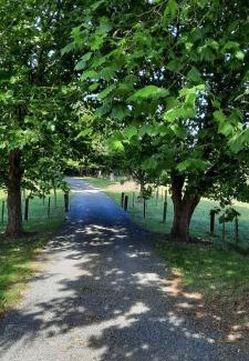 Cambridge Bed & Breakfast | Tui Glade Bed and Breakfast
