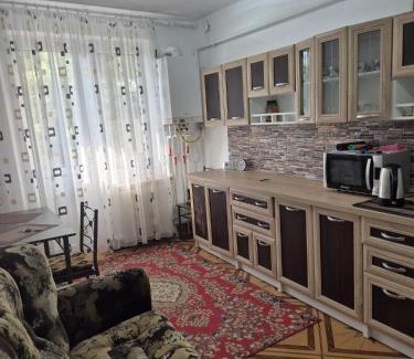 Tulcea Apartment | Tulcea Central Apartment