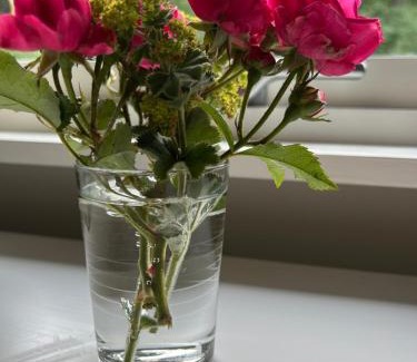 Jonstorp Apartment | Tunneberga 1 65
