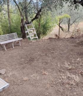Florence House | Turisti nella natura in città d'arte