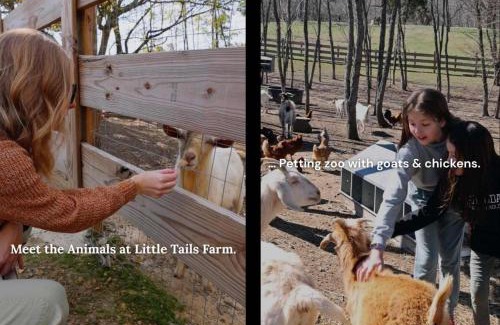 Bryant House | Turkey Hollow with a one of a kind view