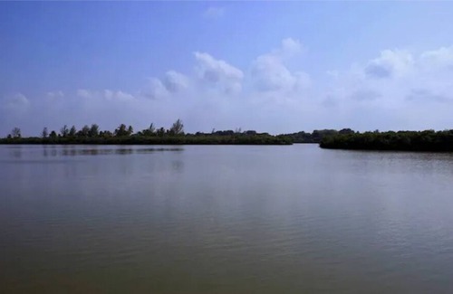 Tuxpan House | Tuxpan Beach - Casa Xanat - Oceanfront with Private Pool